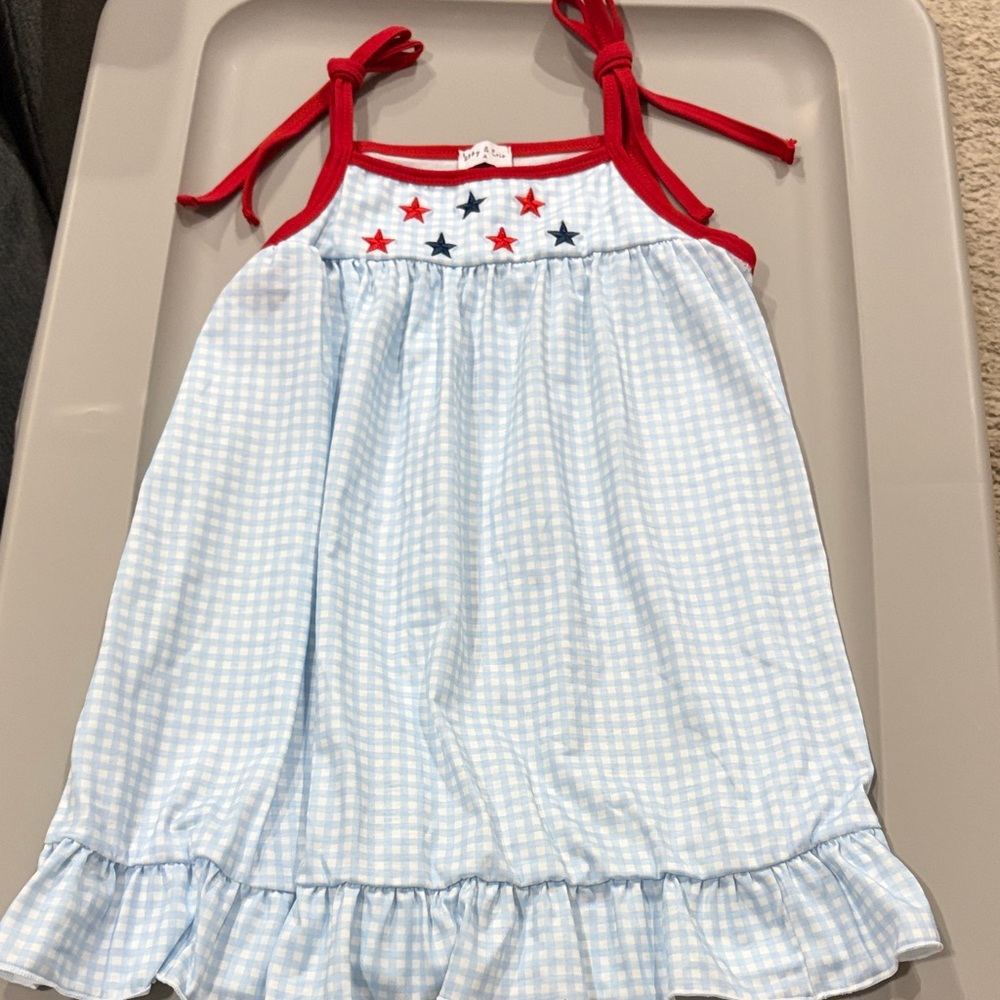 Abby and Evie Red and Blue Gingham Kids Dress